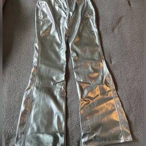 Wild Fable metallic pants